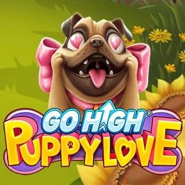Go High Puppy Love slot logo by RubyPlay at BigClash Casino